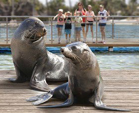 Australia's Sea World - Accommodation Coffs Harbour 1