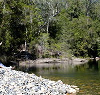 Mount Boss State Forest - Accommodation Coffs Harbour