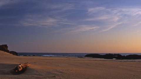 Bongil Bongil National Park - Accommodation Coffs Harbour 2