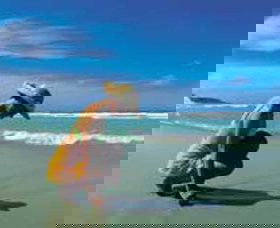 Hallidays Point NSW Accommodation Coffs Harbour