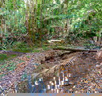 Ulidarra National Park - Accommodation Coffs Harbour