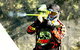 Elite 1 Paintball - thumb 2