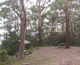 Orara East State Forest - Accommodation Coffs Harbour 2