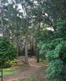 Orara East State Forest - Accommodation Coffs Harbour 1