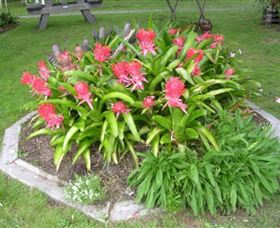 Moorlands Cottage And Gallery - Accommodation Coffs Harbour 2