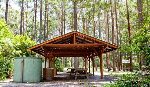 Bongil Picnic Area - Accommodation Coffs Harbour 0