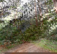 End Peak walking track - Accommodation Coffs Harbour