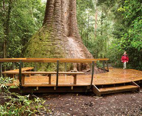 Herons Creek NSW Accommodation Coffs Harbour