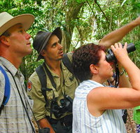 Falls walking track - Accommodation Coffs Harbour