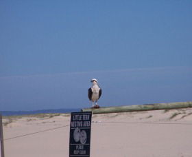 Manning Entrance State Park - Accommodation Coffs Harbour 1