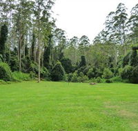 Kerewong State Forest - Accommodation Coffs Harbour