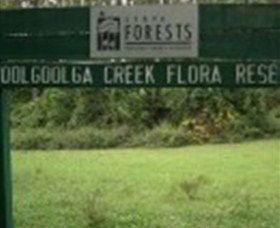 Woolgoolga Creek Flora Reserve - Accommodation Coffs Harbour 0