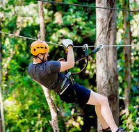 TreeTop Challenge Currumbin - Accommodation Coffs Harbour