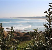 Cape Conran Nature Trail - Accommodation Coffs Harbour