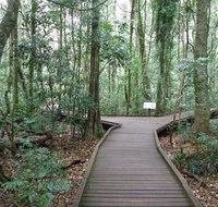 Victoria Park boardwalk - Accommodation Coffs Harbour