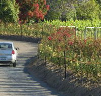 Cassegrain Wines - Accommodation Coffs Harbour