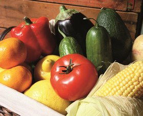 Summerland House Farm - House With No Steps - Accommodation Coffs Harbour 1