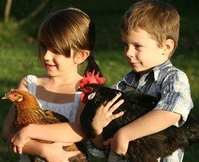 Summerland House Farm - House With No Steps - Accommodation Coffs Harbour 2
