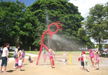 Summerland House Farm - House With No Steps - Accommodation Coffs Harbour 4