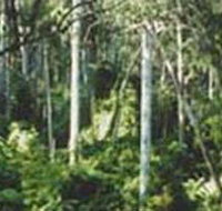 Lind National Park - Accommodation Coffs Harbour