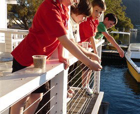 Dunbogan Boatshed - Accommodation Coffs Harbour 3