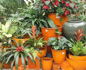Diamond Waters Garden Nursery - Accommodation Coffs Harbour 1