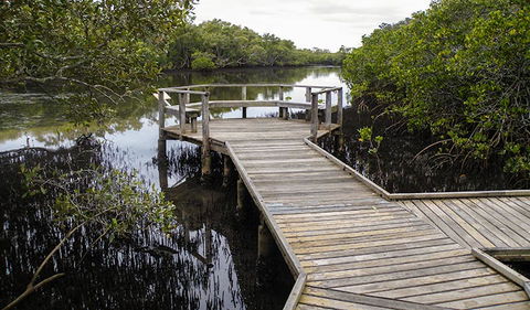 Walk On Water Walking Track - Accommodation Coffs Harbour 1