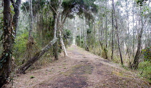 Walk On Water Walking Track - Accommodation Coffs Harbour 2