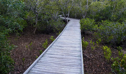 Walk On Water Walking Track - Accommodation Coffs Harbour 3