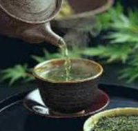 World Par-TEA - Accommodation Coffs Harbour