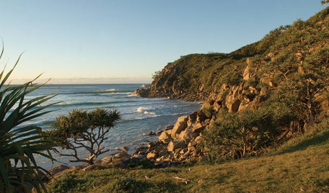 Little Bay Beach - Accommodation Coffs Harbour 2