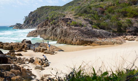 Little Bay Beach - Accommodation Coffs Harbour 3