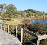Mimosa Rocks walking track - Accommodation Coffs Harbour