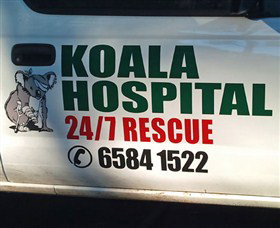 Koala Hospital - Accommodation Coffs Harbour 8