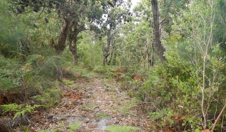 Hat Head NSW Accommodation Coffs Harbour