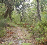 Kinchela Trig Lookout walk - Accommodation Coffs Harbour