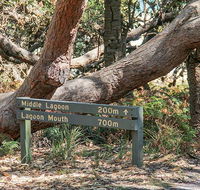 Middle Lagoon walking track - Accommodation Coffs Harbour
