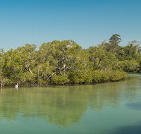 Tyagarah Nature Reserve - Accommodation Coffs Harbour