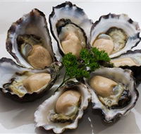 Tathra Oysters - Accommodation Coffs Harbour