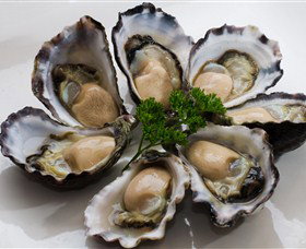 Tathra Oysters - Accommodation Coffs Harbour 0