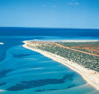 Monkey Mia - Accommodation Coffs Harbour