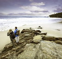 Wilderness Coast Walk - Accommodation Coffs Harbour
