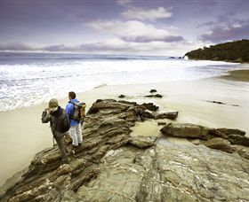 Wilderness Coast Walk - Accommodation Coffs Harbour 0