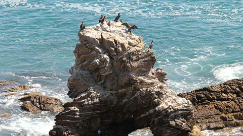 Ben Boyd National Park - Accommodation Coffs Harbour 2