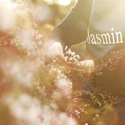 Jasmin Organics Skincare Farm And Factory - Accommodation Coffs Harbour 8