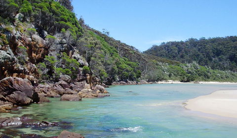 Nadgee Nature Reserve - Accommodation Coffs Harbour 1