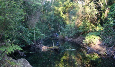 Nadgee Nature Reserve - Accommodation Coffs Harbour 2