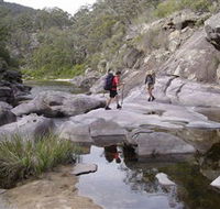 Nadgee Wilderness Walk - Accommodation Coffs Harbour