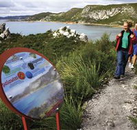 Rocky Cape National Park - Accommodation Coffs Harbour