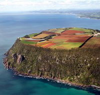 Table Cape - Accommodation Coffs Harbour